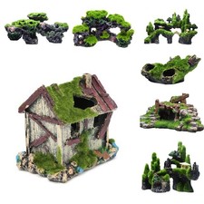 Acquario per pesci decorazione