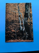 ABRUZZO LA FAGGETA NATIONAL