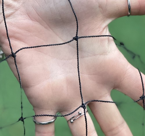 Rete nera 5x5mt - , 50mm