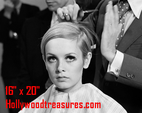 Twiggy~salone
