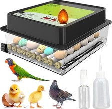 Incubadora De Huevos