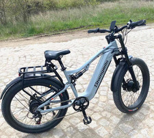 Bici elettrica doppio motore - bici,