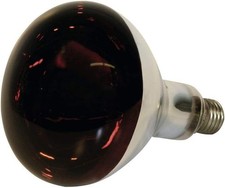 Lampada Infrarossi Riscaldante 250 W E27 - Utile per Cuccioli Pulcini Rettili...