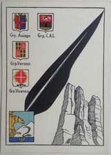 CARTOLINA 2 REGGIMENTO ARTIGLIERIA DA MONTAGNA TRIDENTINA ALPINI ALPINISMO 