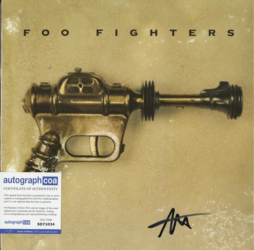 Foo fighters disco vinile - disco,