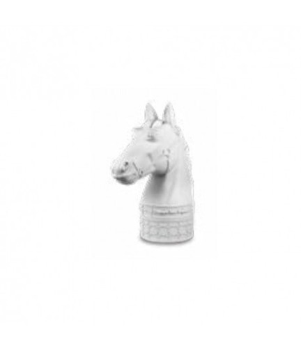 Testa cavallo baci - cavallo,