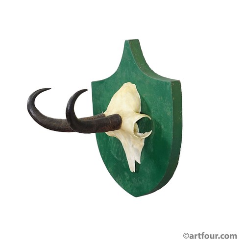 Antico trofeo camoscio foresta - trofeo,
