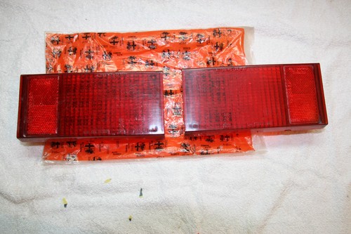 Coppia plastica fanalini