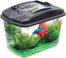 Betta Kit 1000 G