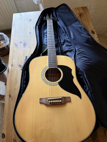 Eko ranger chitarra acustica - eko,