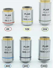 1PZ 4X 10X 20X 40X 60X 100X