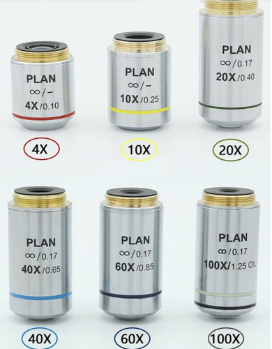 1pz 10x 20x - 40x, 100x