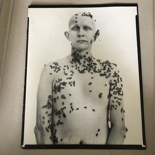 Richard avedon retrospettiva - richard,