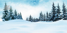 180X61Cm Inverno Paesaggio
