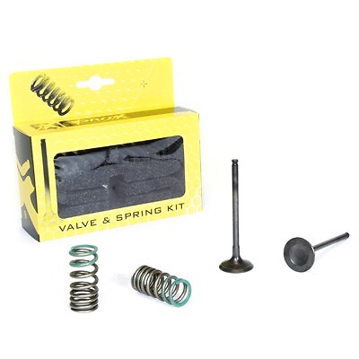 Valvole scarico set - valvole, con