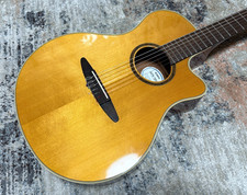 YAMAHA APX5NA T (T0000)