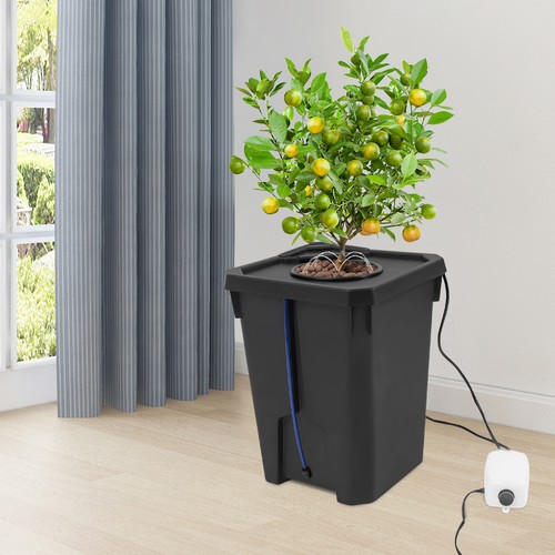 Sistema dwc coltura acqua - sistema,