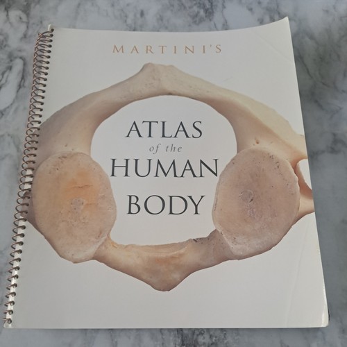 Martini atlas the - the, human