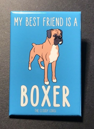 Boxer cane calamita - , simpatica