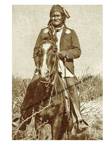 Foto cavallo - cavallo,