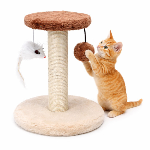 Nobleza mini tiragraffi gatti - nobleza,