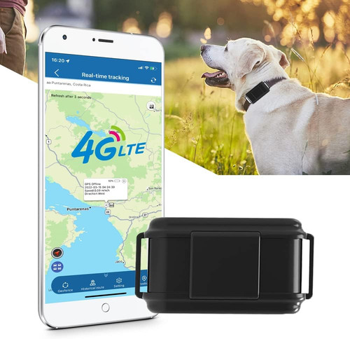 Collare gps per cani da - 4g,