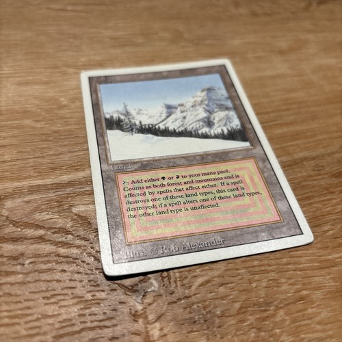 Mtg edizione riveduta taiga - mtg,