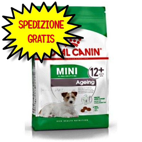 Royal canin cane mini - cane, +