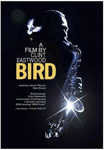 35mm bird - 35mm,