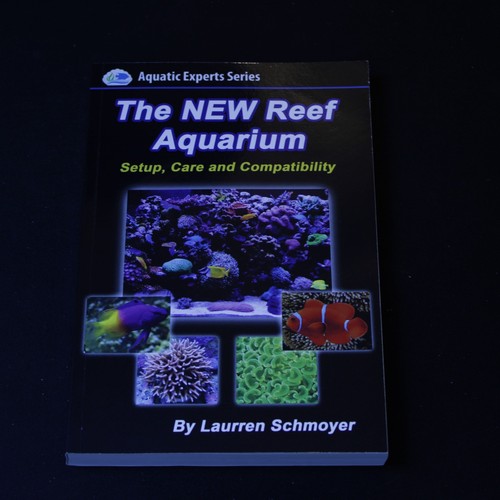 The new reef - the, setup