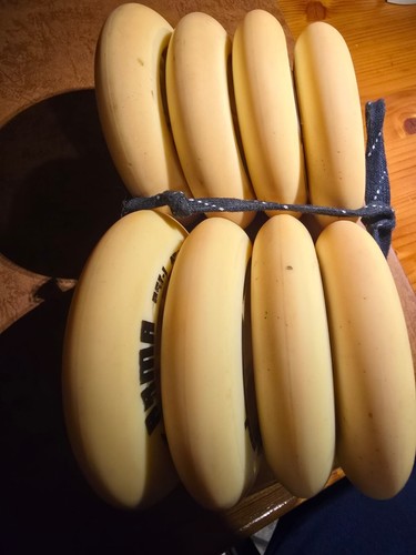 Ruote pattinaggio velocità