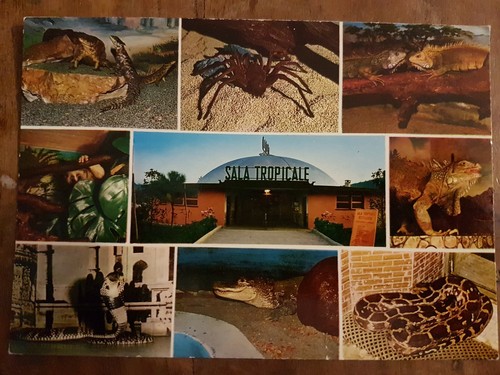 Bussolengo parco zoo - bussolengo, vr