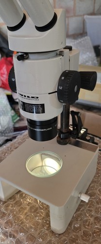 Microscopio stereo wild - stereo,