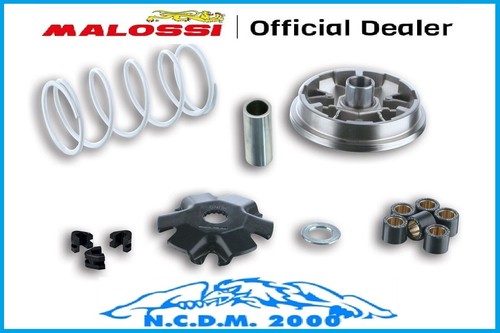 Variatore malossi multivar - variatore,
