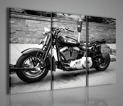 Quadro moderno harley - quadro,