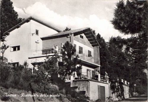 Savona testico ristorante - testico,