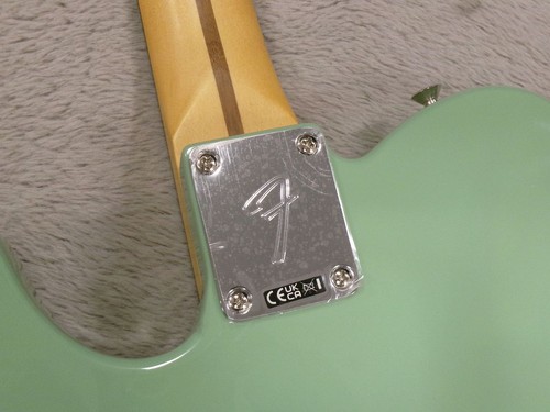 Fender player telecaster - player, ii