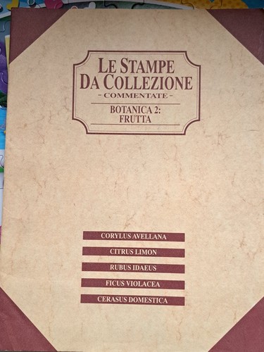 Stampe collezione - stampe, da