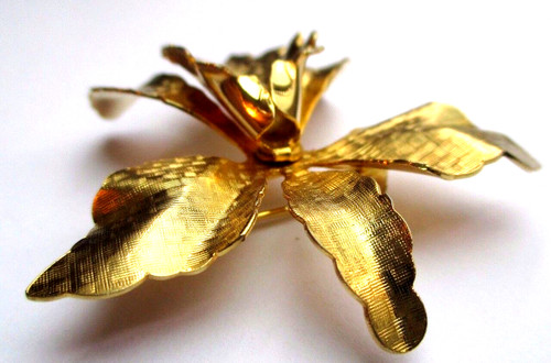 Rare broche couleur - rare,