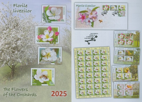 Romania 2025 fiori dei