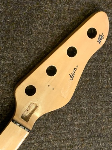 Basso vintage peavey - vintage,