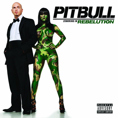 Pitbull rebelution hip hop - rebelution, hip-hop
