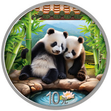 Moneta Argento Cina Panda 2026