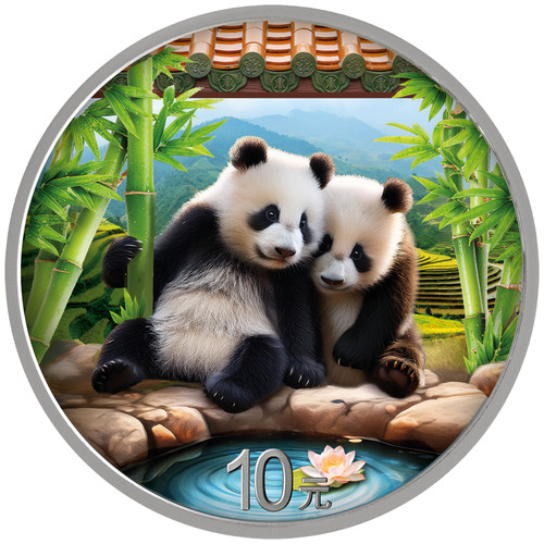 Moneta argento cina panda 2026 - moneta,