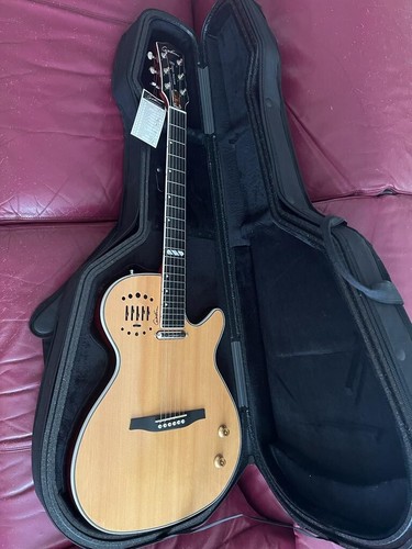 Chitarra acustica godin - acustica,