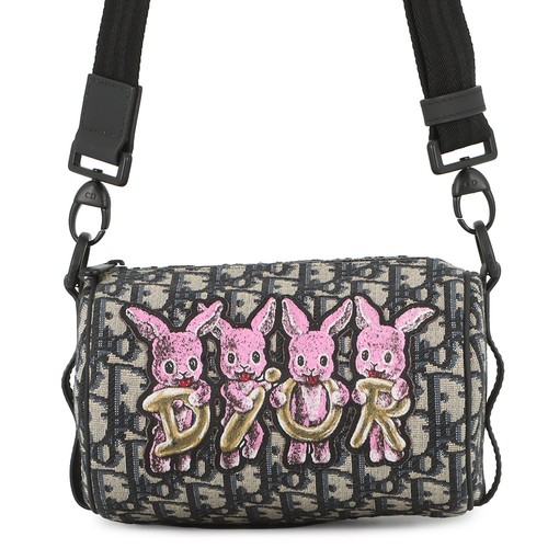 Dior oblique rabbit mini - dior,