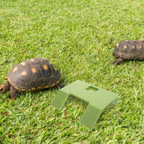 Piattaforma basking tartaruga - ,