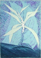 CESARE PEVERELLI Fleur