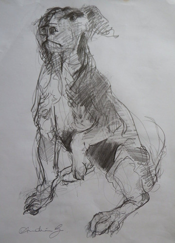 Disegno matita jack - a, russel