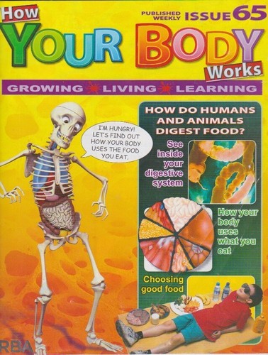 How your body - , works-issue